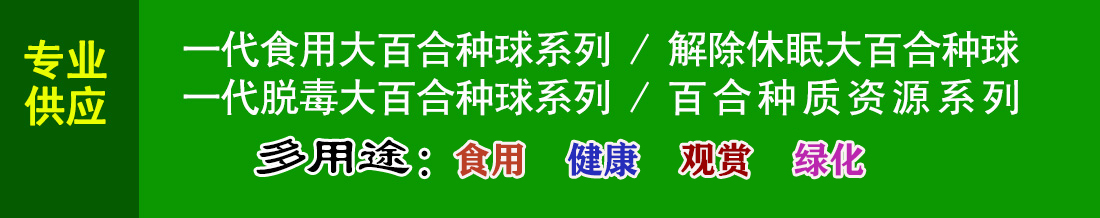 山东沂水食用百合研究开发中心