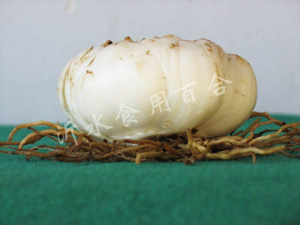 百合球 (3)