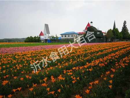 small_20189191441510