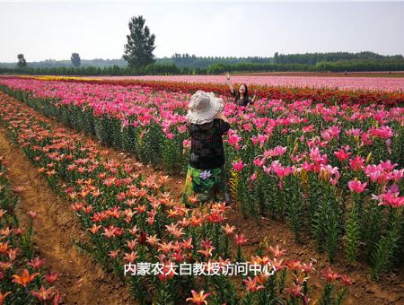 small_20189191431300