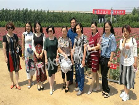 small_20171218147410