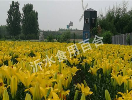 small_20171218147300