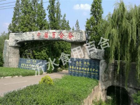 small_20171218146580