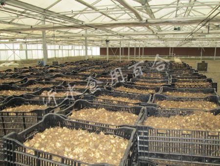 small_20157311654130