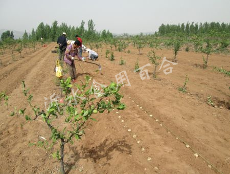 small_20157311653440