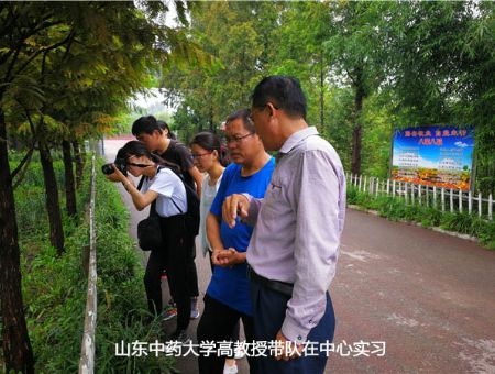 中心园区
