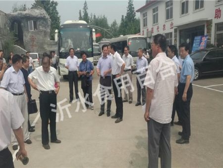 中心园区