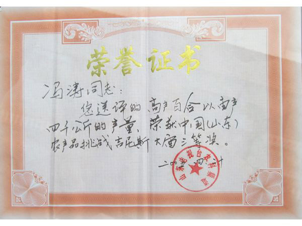 荣誉证书